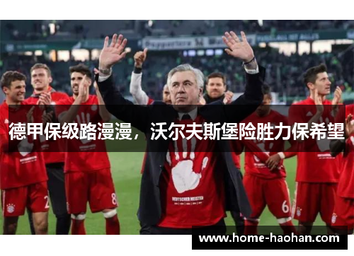 德甲保级路漫漫，沃尔夫斯堡险胜力保希望