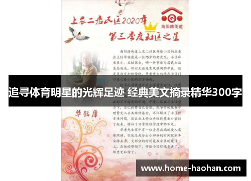 追寻体育明星的光辉足迹 经典美文摘录精华300字